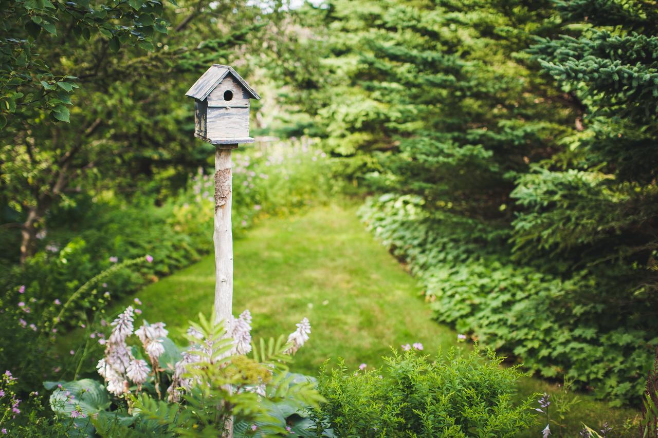 Abbie'S Garden Bed & Breakfast Grand Bank Exterior foto