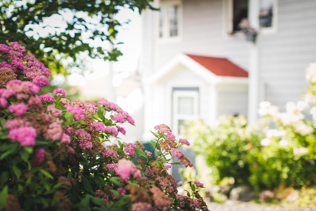 Abbie'S Garden Bed & Breakfast Grand Bank Exterior foto